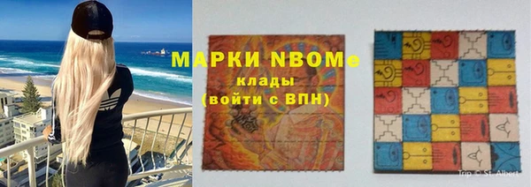 гидра Каменка
