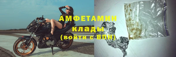 гидра Каменка