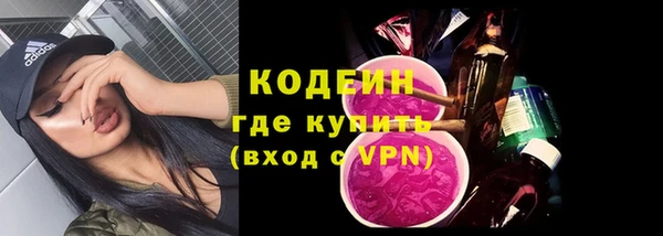 гидра Каменка