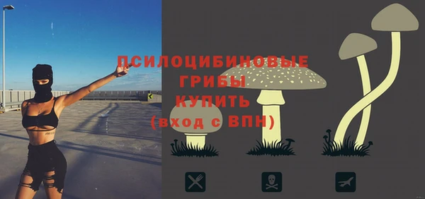 гидра Касимов