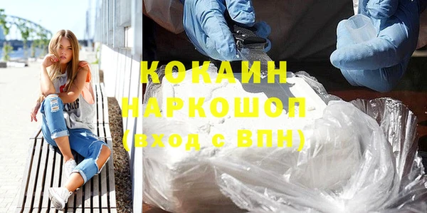 гидра Каменка
