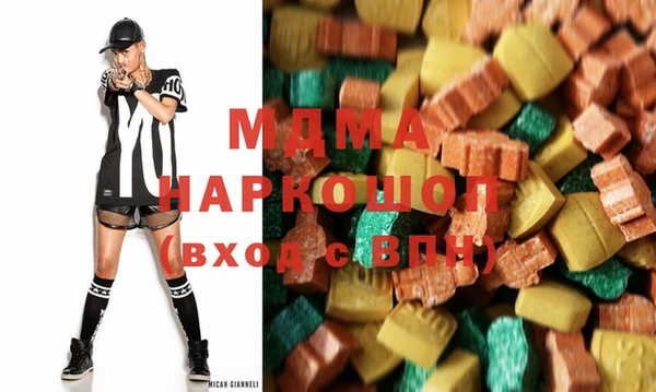 гидра Каменка