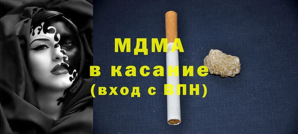 гидра Каменка