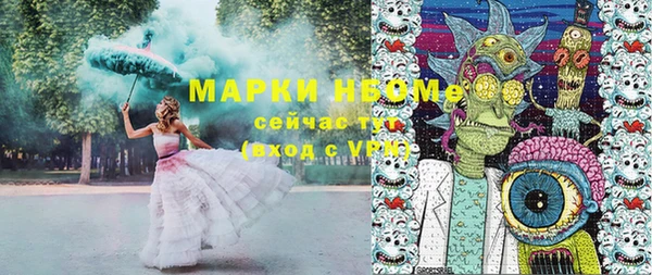 гидра Каменка