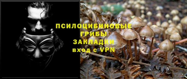 мяу мяу кристалл Иннополис