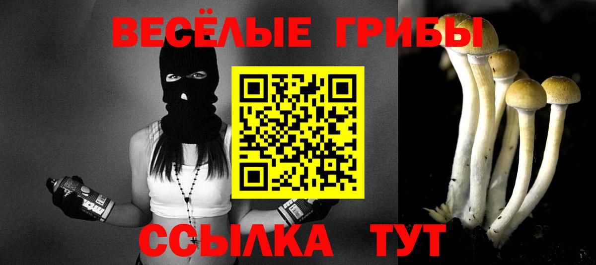 Валуйки  Галлюциногенные грибы ЛСД  Вход с VPN 