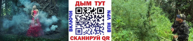 ОМГ ОМГ ONION  Валуйки  Шишки марихуана Amnesia  цена наркотик 